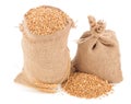 Sacks of wheat grains