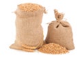 Sacks of wheat grains