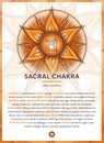 SACRAL CHAKRA Svadhisthana: Chakra symbol infographic with detailed description & characteristics