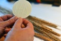 Sacramental bread and wheat. Royalty Free Stock Photo