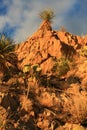 Sacramento Mountains, New Mexico