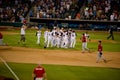 Sacramento River Cats