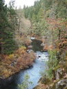 Sacramento river in fall near Dunsmuir California Royalty Free Stock Photo