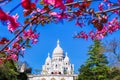 Sacre Coeur Cathedral during spring time in Paris, France Royalty Free Stock Photo