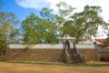 Sacred Bodhi tree, sunny day. Anuradhapura, Sri Lanka