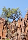 Sacred Canyon in Flinders Ranges Australia Royalty Free Stock Photo