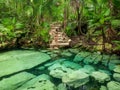 Sacred cenote azul in Tulum, Yucatan Peninsula, Mexico Royalty Free Stock Photo