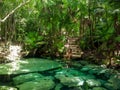 Sacred cenote azul in Tulum, Yucatan Peninsula, Mexico Royalty Free Stock Photo