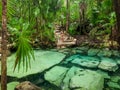 Sacred cenote azul in Tulum, Yucatan Peninsula, Mexico Royalty Free Stock Photo