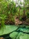 Sacred cenote azul in Tulum, Yucatan Peninsula, Mexico