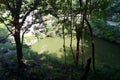 Sacred Cenote. Chichen Itza is the Mayan political and cultural center in the north of the Yucatan Peninsula in Mexico, the holy c Royalty Free Stock Photo