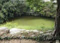 Sacred Cenote, Chichen Itza Royalty Free Stock Photo