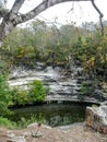 The Sacred Cenote refers to a noted cenote at the pre-Columbian Maya archaeological site of Chichen Itza, in the northern YucatÃÂ¡n