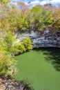 Sacred Cenote Vertical View Royalty Free Stock Photo