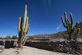 The Sacred City of Quilmes or ruins of Quilmes - is located in the Calchaqui valley, province of Tucuman, Argentina. In the Royalty Free Stock Photo