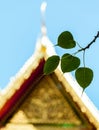 Sacred fig leaves with the temple. Royalty Free Stock Photo