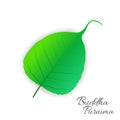 Sacred fig or Pipal tree leaf Buddha Purnima or Vesak day vector illustration