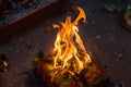 Sacred fire burning during hindu religious rituals in local bengali culture. all the essential elements of puja are in the