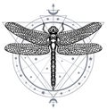 Sacred geometric pattern and hand drawn dragonfly. Dragonfly tattoo. Mystical symbols and insects sketch. Alchemy