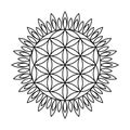 Sacred geometry flower of life circle vector mandala coloring book