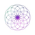 Sacred geometry flower of life outer space scientific template with logo area. Vector hipster design with cosmic texture