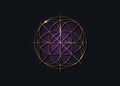 Sacred Geometry gold symbol, Seed of life sign. Geometric mystic luxury purple mandala of alchemy esoteric Flower of Life. Golden Royalty Free Stock Photo