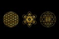 Sacred Geometry Gold Symbols on Black Background. Sri Yantra, Flower Of Life, Metatron's Cube.