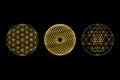 Sacred Geometry Gold Symbols on Black Background. Sri Yantra, Flower Of Life, Torus Yantra.