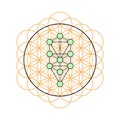 Sacred geometry. Tree of life in a Flower of life Royalty Free Stock Photo