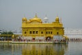 Amritsar, India - July 8, 2017: The sacred Golden Temple in the middle of the sacred lake. Every day tens of thousands of people a