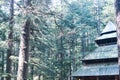 The sacred Hidimda Devi Temple in Shimla, Kullu, Himachal Pradesh, noerthern India, Asia.