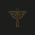 Sacred line geometric symbol with butterfly and moon phase, gold figure on black background. Abstract mystic geometry