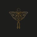 Sacred line geometric symbol with butterfly and moon phase, gold figure on black background. Abstract mystic geometry