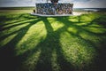 The sacred lonely poplar in the Kalmyk steppe, the shadows on the grass