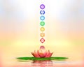 Sacred Lotus And Chakras Royalty Free Stock Photo