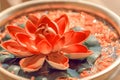 Sacred lotus growing in bowl. Beautiful leaves floating on water surface. Botabic name is Nelumbo nucifera flower.