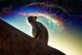 Sacred monkey on background of cosmic starry sky