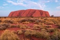 Sacred Mount Uluru Ayers rock at sunset time. Bushes surrounding the rock. Red ground soil. Vivid contrasted colors: yellow, red