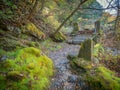 The sacred path in Nikko forest