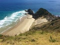 Sacred pohutukawa tree and beach at Cape Reinga, New Zealand