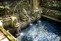 Sacred pool in temple at Monkey Forest Sanctuary in Ubud Royalty Free Stock Photo