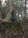 Sacred Rudraksha Forrest at Hindu Monastery on Kauai Island, Hawaii.