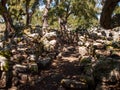 Sacred Source entrance archaeological site of Noddule in the megalithic circle and large circular hut in the new archaeological