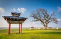 The sacred tree in Kalmykia. A lone poplar on a background of spring sky with white clouds. Steppe. Royalty Free Stock Photo