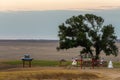 The sacred tree in Kalmykia