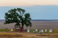 The sacred tree in Kalmykia. Silhouette of a gate or arch at the entrance to the cult object