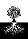 Sacred Tree of life and roots concept, The Bodhi tree logo template, silhouette icon vector isolated on black and white background Royalty Free Stock Photo