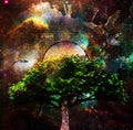 Sacred tree of life