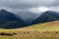 Sacred Valley. Cusco Region, Urubamba Province, Peru Royalty Free Stock Photo