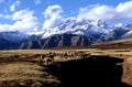 Sacred Valley- Peru Royalty Free Stock Photo